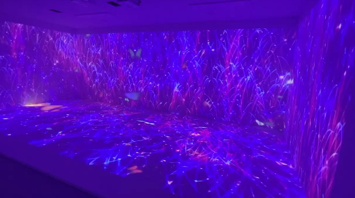 Immersive corporate brand hall with walls and floor filled with purple-toned video